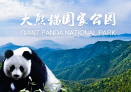 “巡航大熊猫国家公园之旅”盛大启航，全国100所高校大学生安逸走四川整装待发