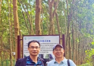 杨明强 | 热带森林中的“两院”