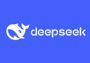 杨永乐 | 从DeepSeek的火爆说起