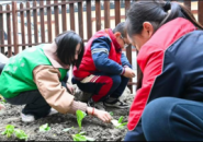 中小学科普宣讲：让农业知识走进课堂