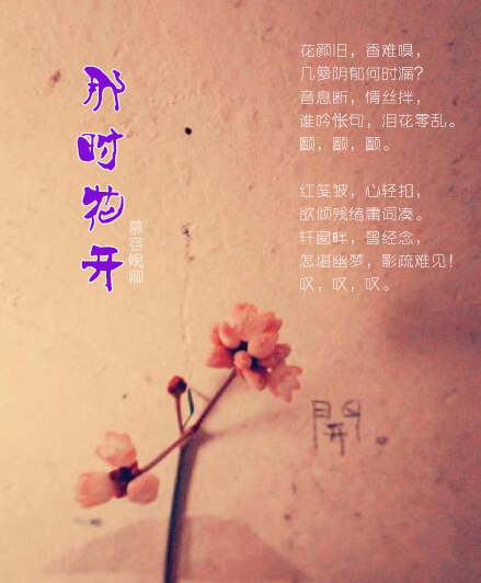 那时花开.jpg