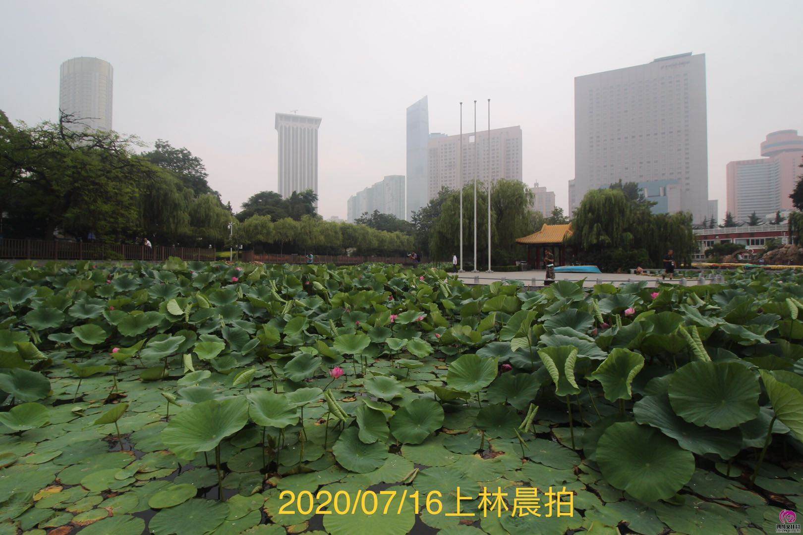 微信图片_202007170832591.jpg