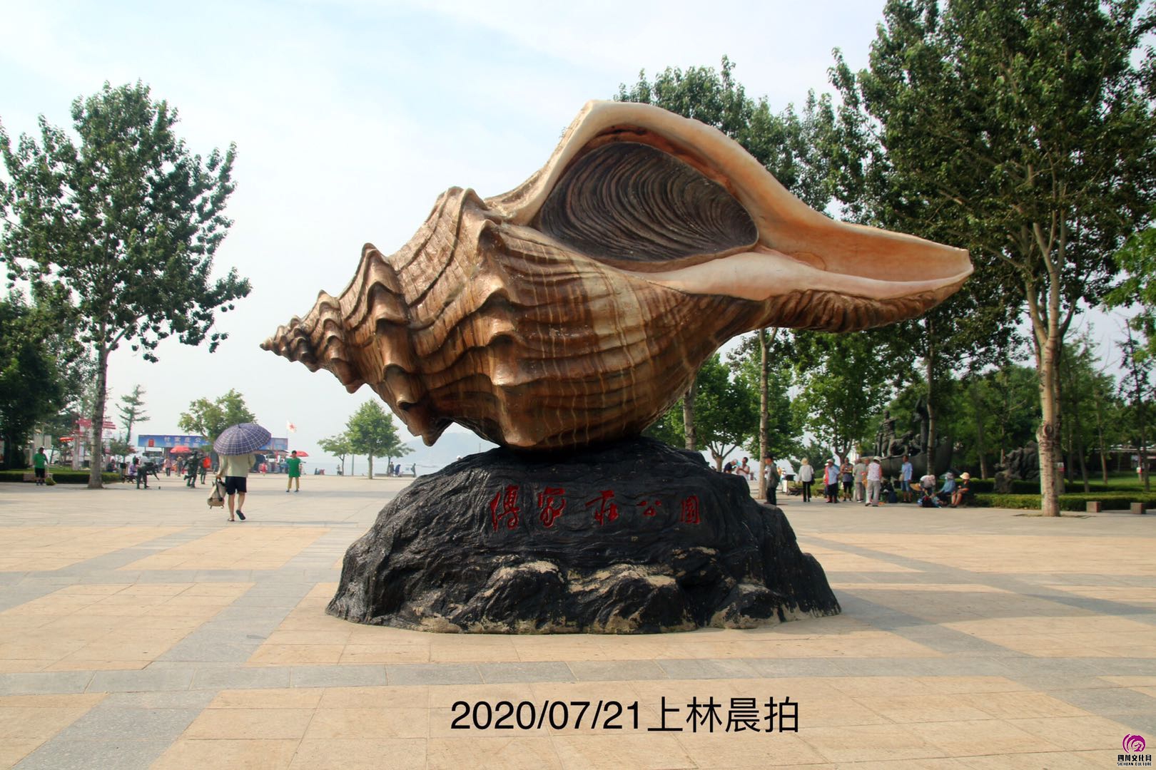 微信图片_20200722075341.jpg