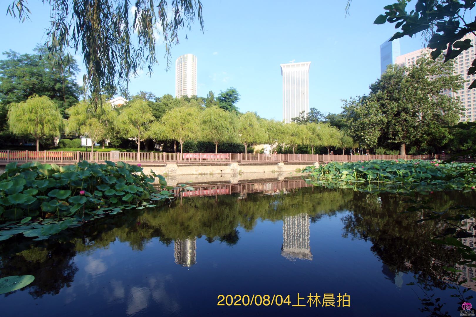 微信图片_202008051415443.jpg