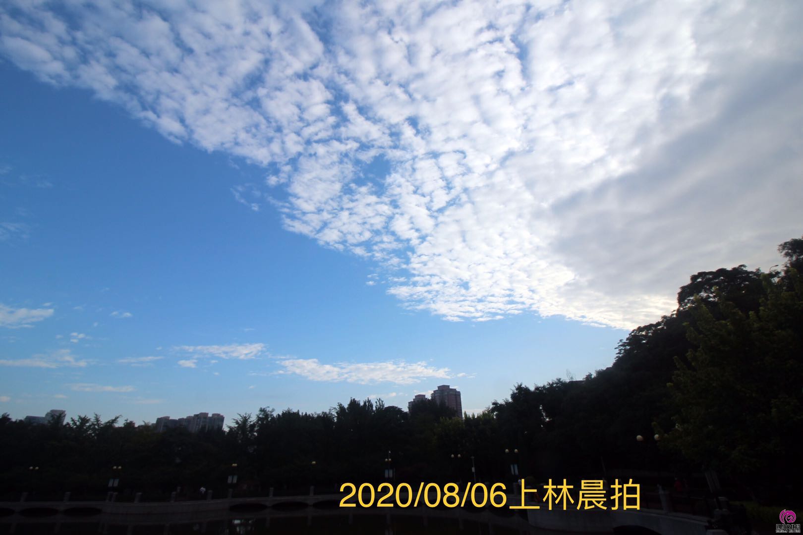 微信图片_202008070802108.jpg