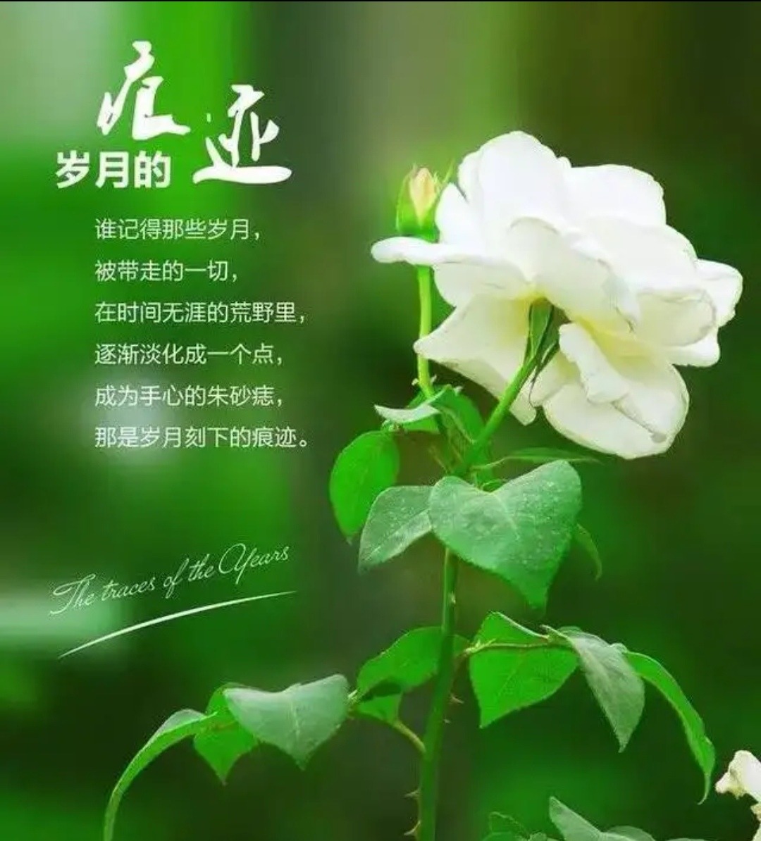 Screenshot_20220923_203559_com.baidu.searchbox_edit_4281669175579466.jpg