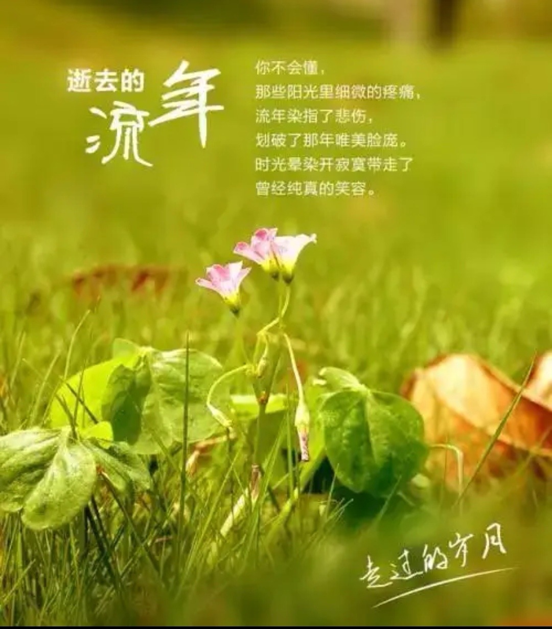 Screenshot_20220923_204222_com.baidu.searchbox_edit_4281590385289374.jpg