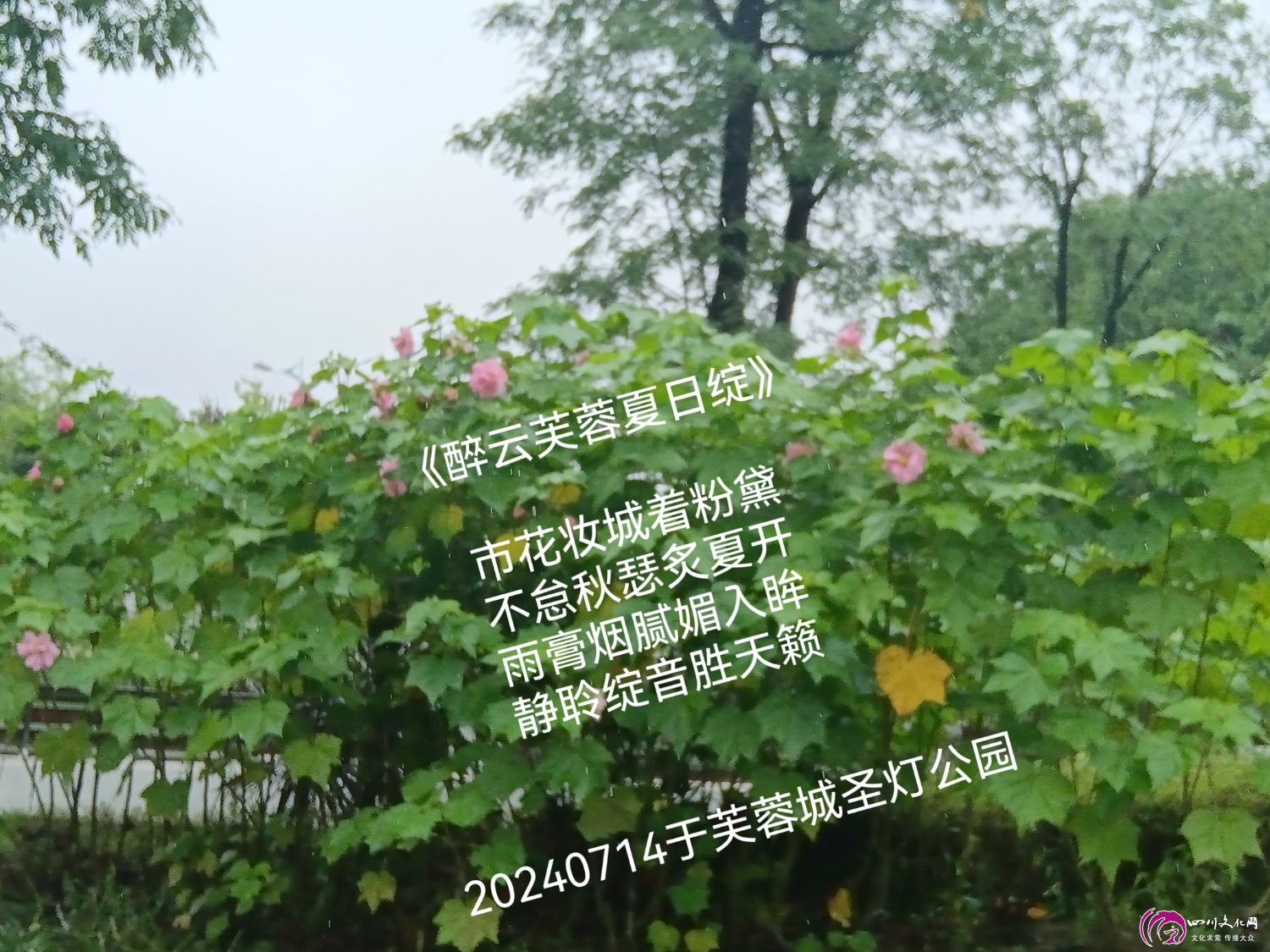 MEITU_20240714_094844116.jpg