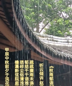 《秋雨郁语》      听云倾诉. 赵元