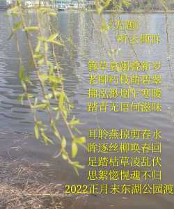 《无题》   听云倾诉