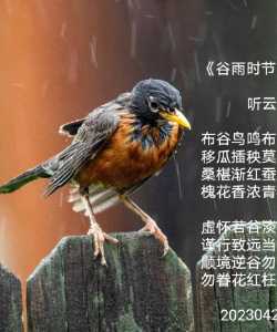 《谷雨时节》        听云倾诉