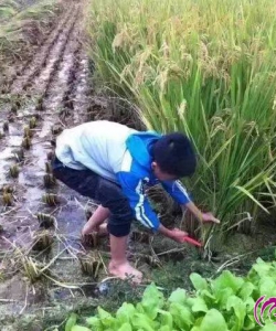 农民工和他的儿子（诗二首）