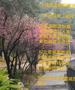 《浣花溪畔梅媚踪影》     听云倾诉（赵元）