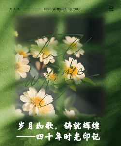 《岁月如歌，铸就辉煌——四十年时光印记》作者:安钢