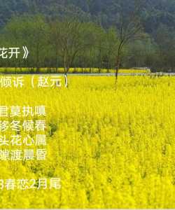 《花凋花开》       听云倾诉（赵元）