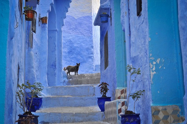 睡前洗眼，蔚蓝色的摩洛哥老城Chefchaouen。