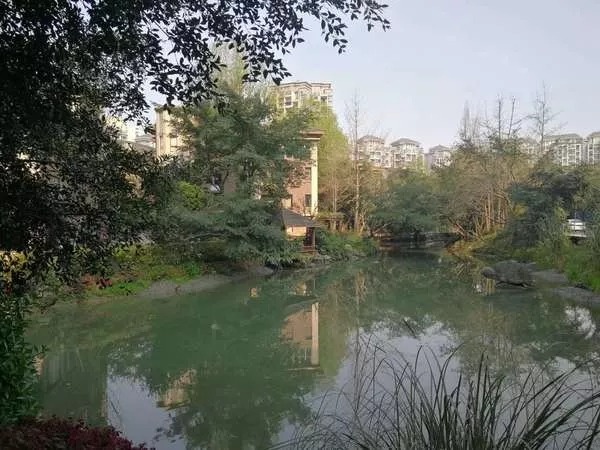 微信图片_20130903005735.jpg